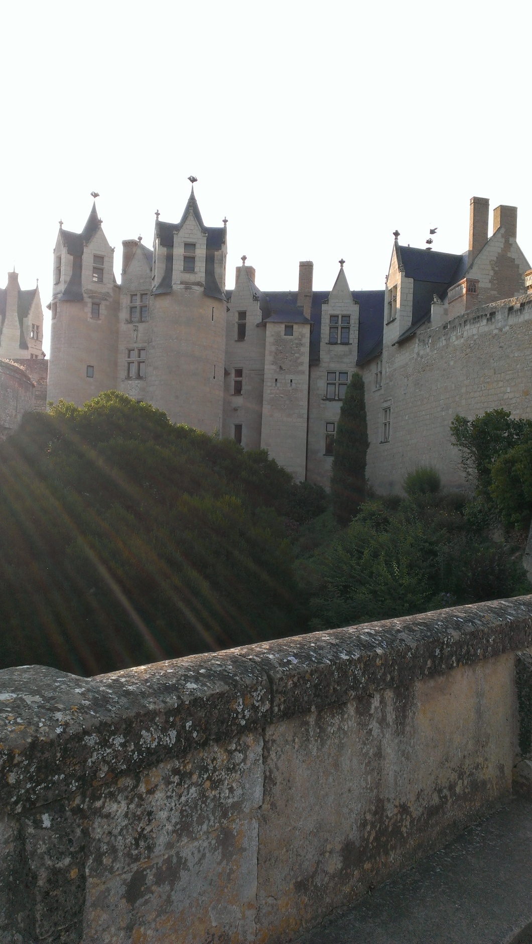 Montreuil-Bellay's Castle
